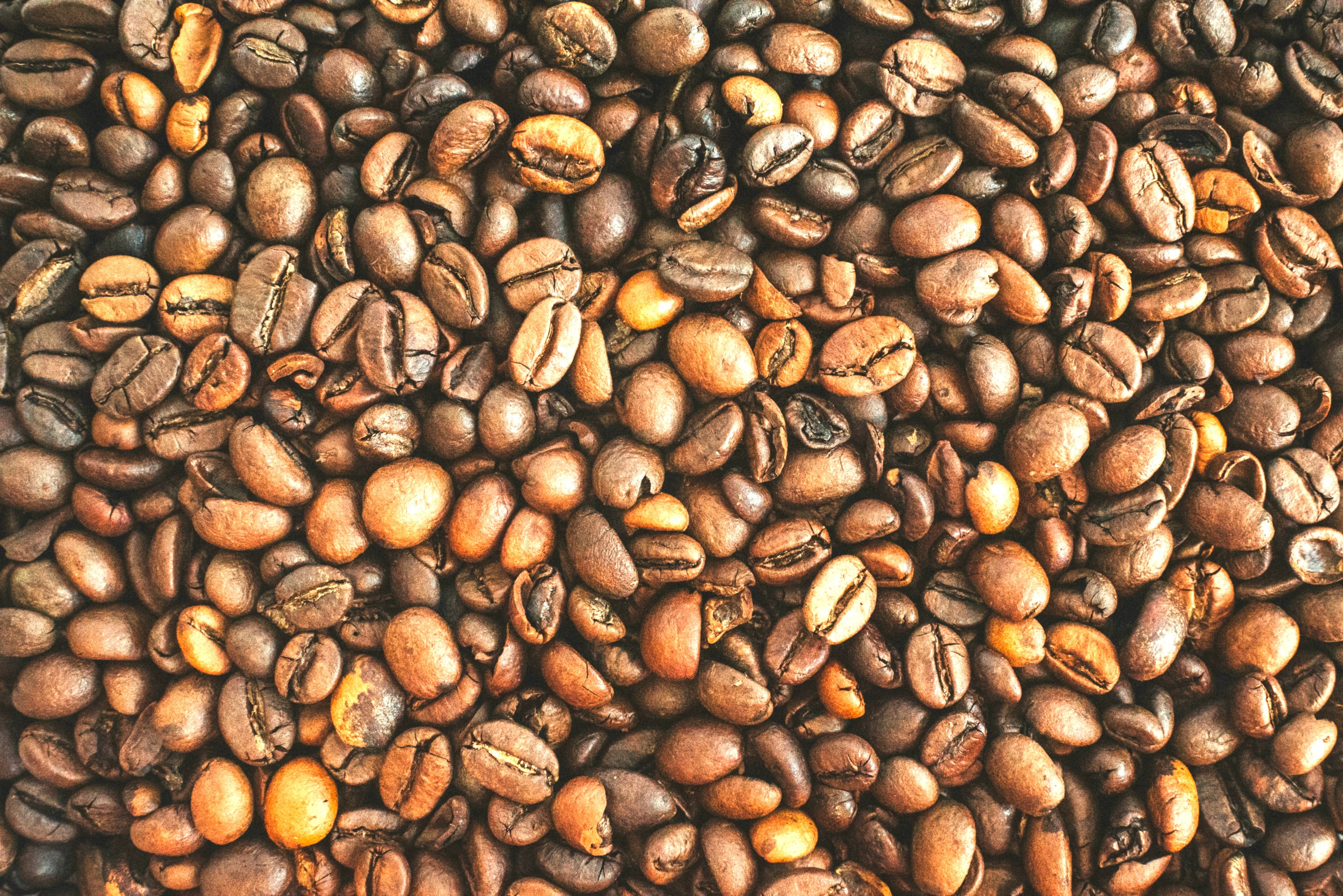 Café bio Colombie – Café de spécialité en torréfaction artisanale