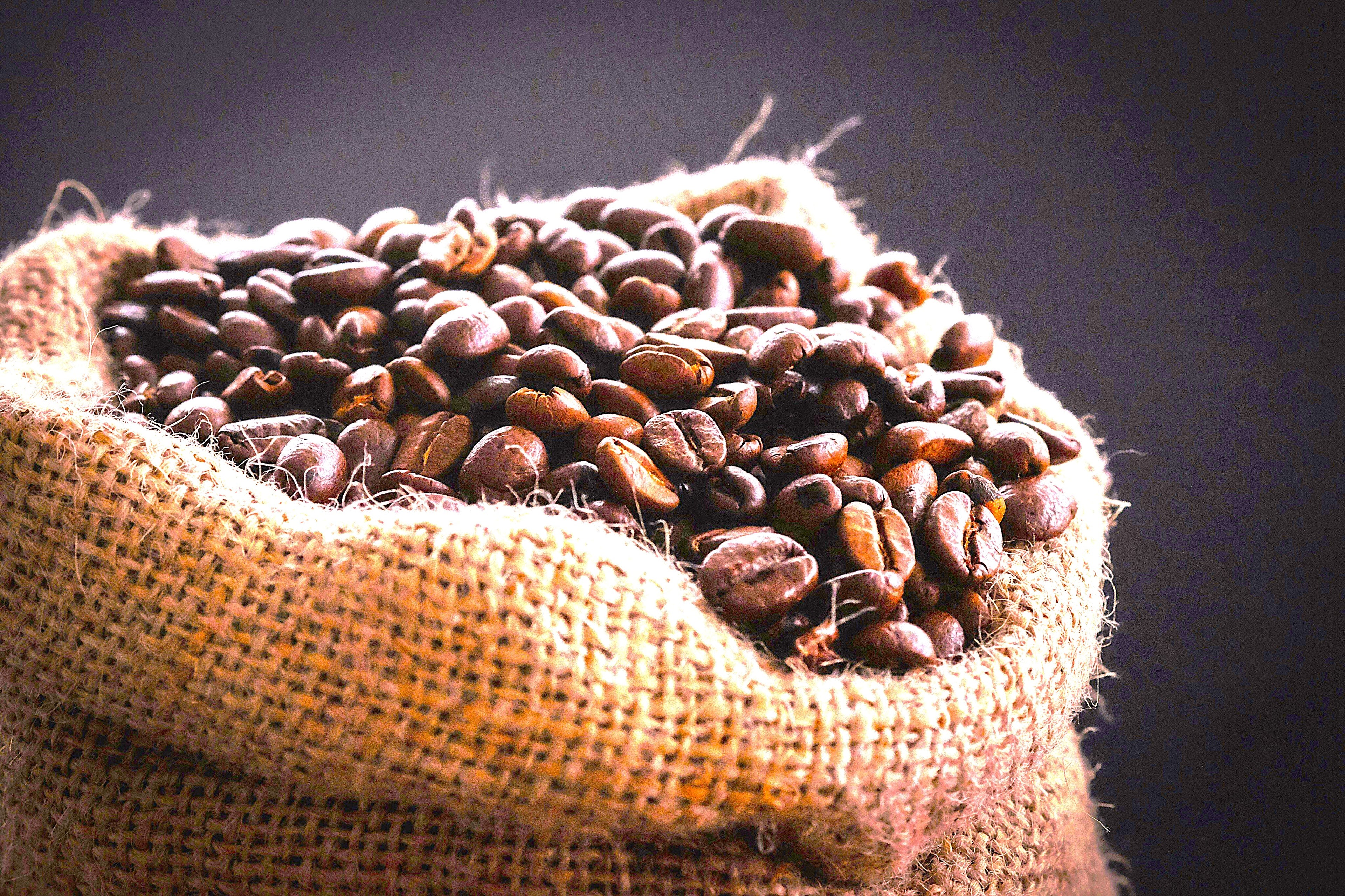 Café bio Honduras – Café de spécialité - arabica - torréfaction artisanale