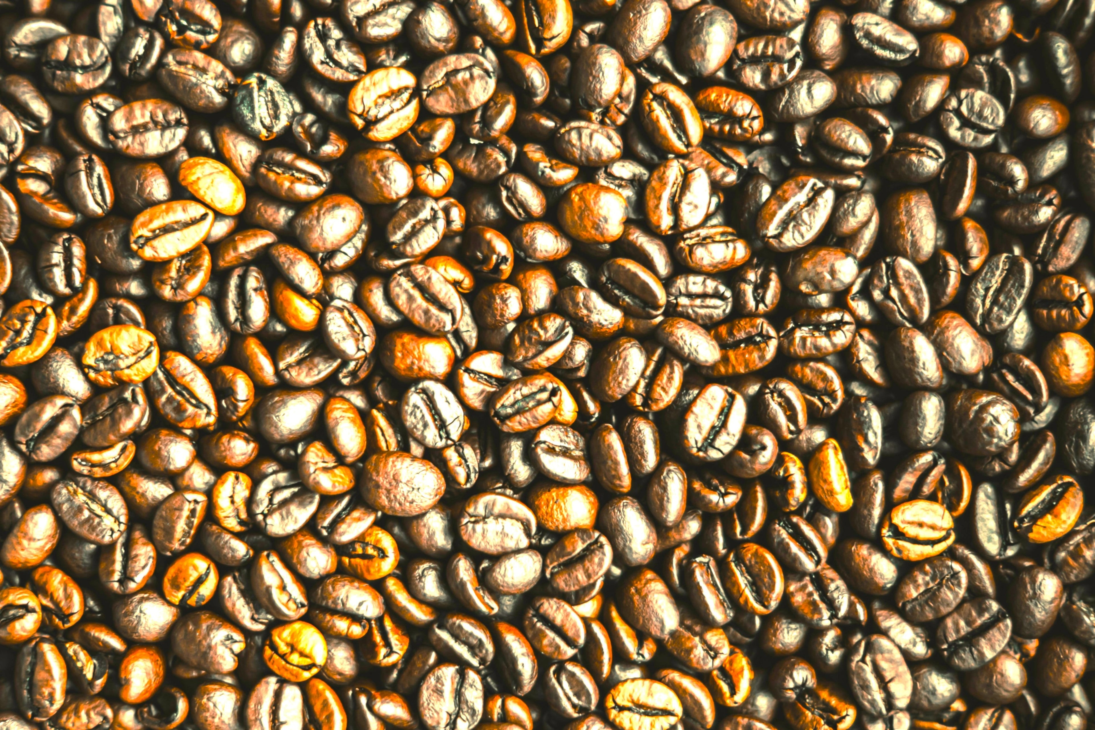 Café bio Guatemala – Café de spécialité_torréfaction médium